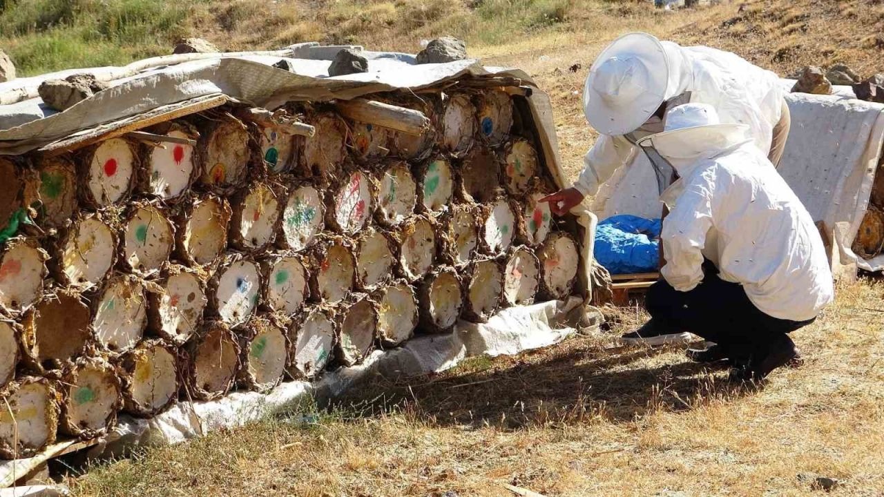 Van&#039;da Bal Üretimi Küresel Isınma Nedeniyle Tehdit Altında