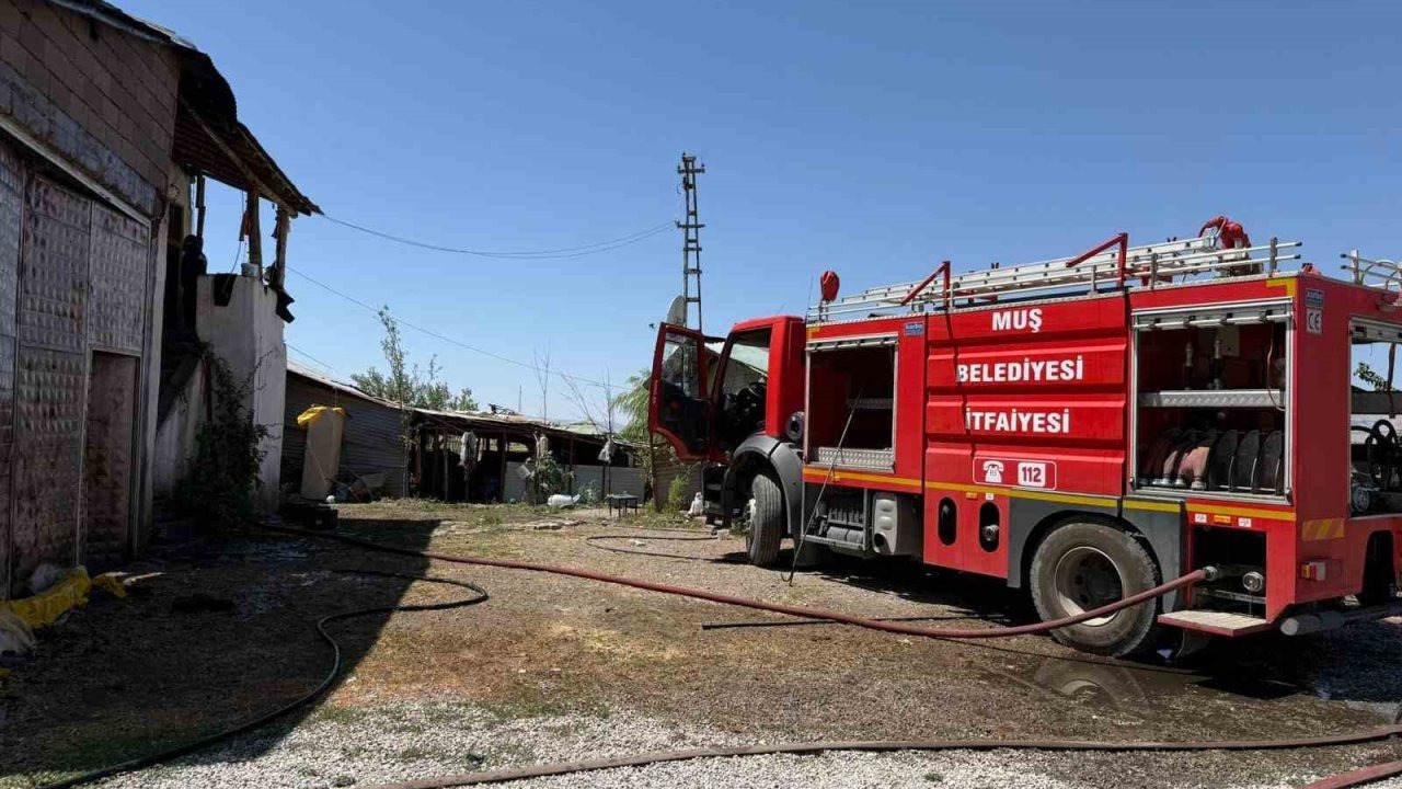 Muş&#039;ta Tarihi Murat Köprüsü Yakınında Yangın