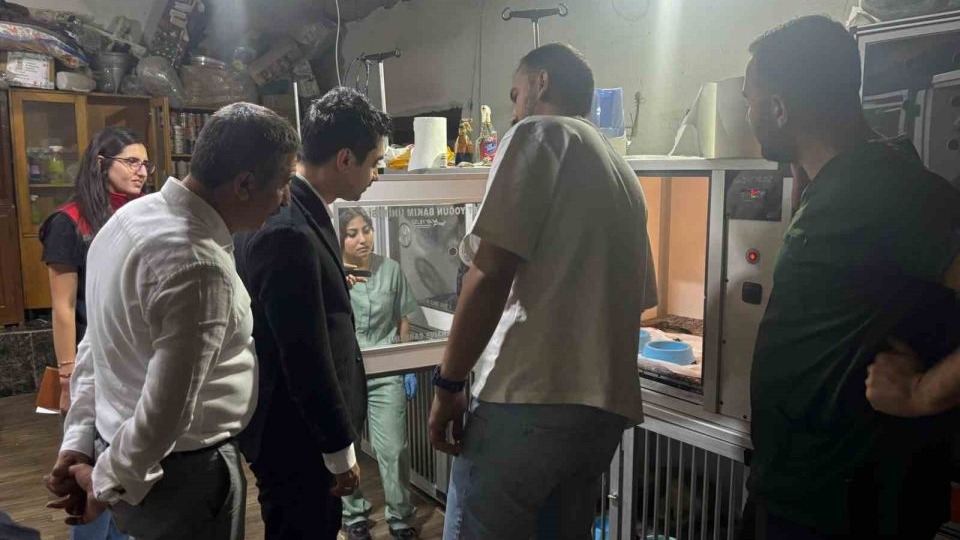 Susuz Kaymakamı Hayvan Barınağını Ziyaret Etti