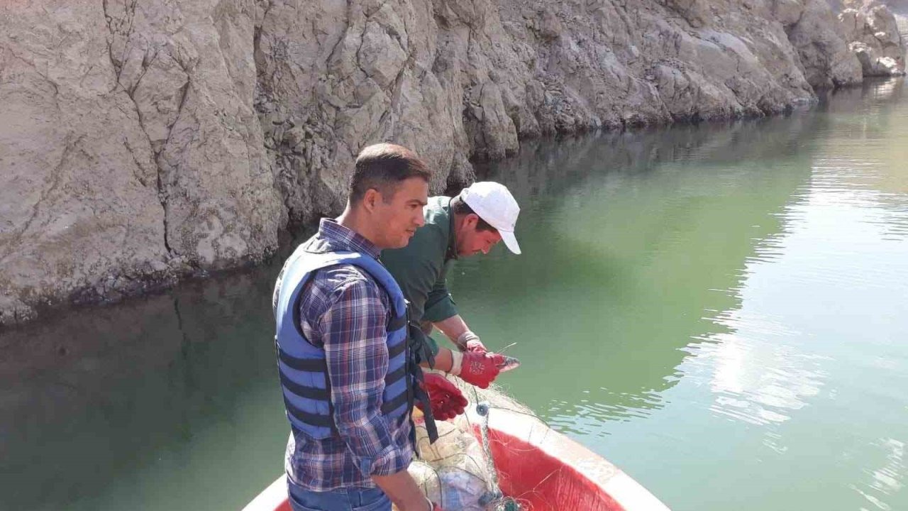 Van&#039;da Sazangiller İçin Av Yasağı Sona Erdi