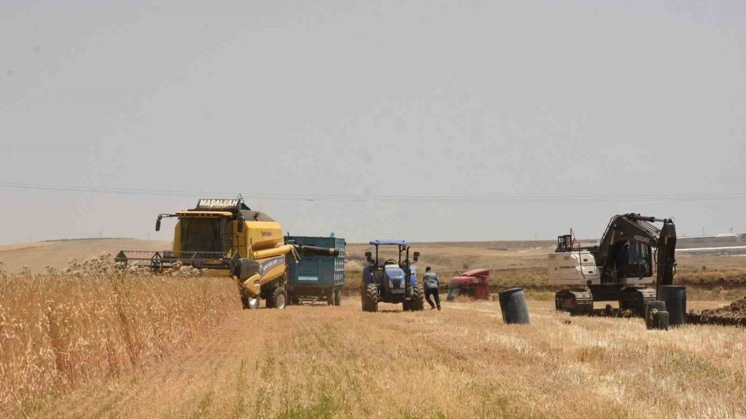 Erzincan&#039;da Buğday ve Arpa Hasadı Başladı