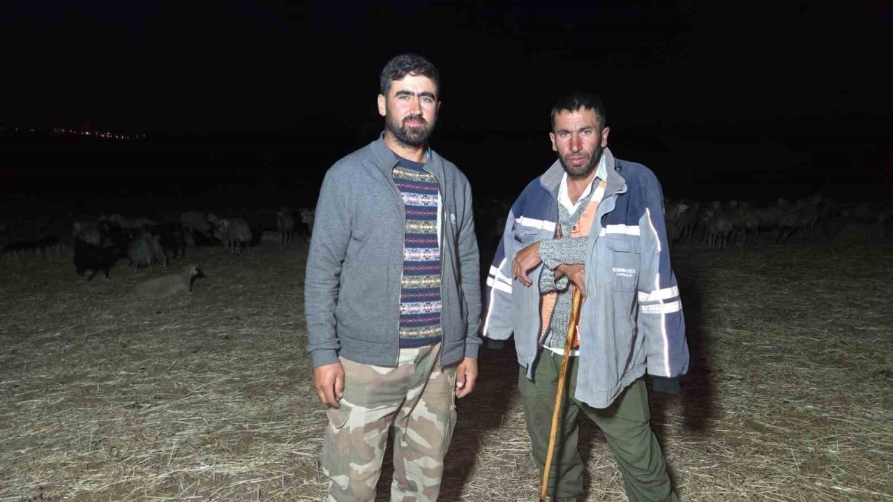 Gece Mesaisi: Sıcaklar Çobanları Yaylıma Zorluyor