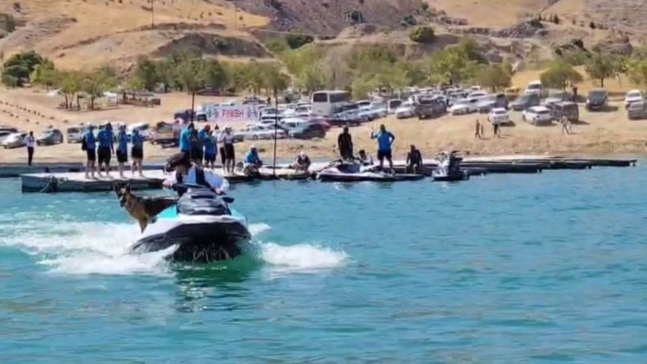 Keban Festivali&#039;nde Jet Ski Keyfi Yapan Köpek İlgi Odağı Oldu