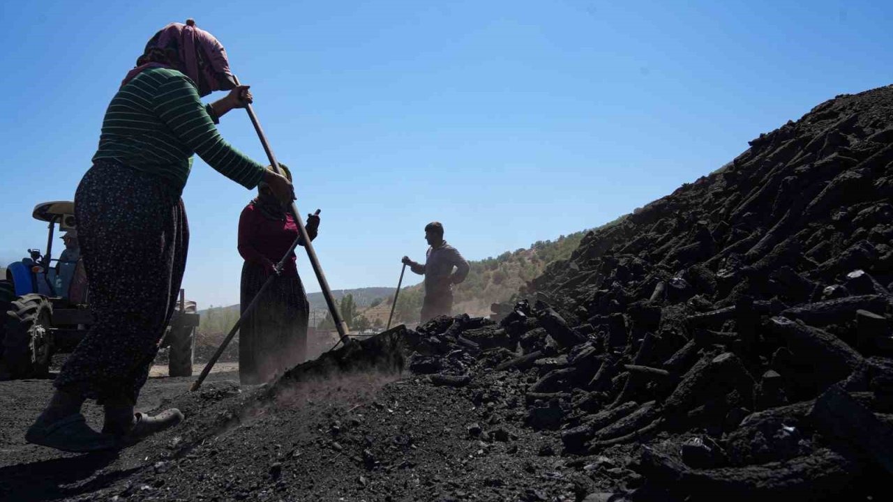 Mardinli Mevsimlik İşçiler, Ankara&#039;da Mangal Kömürü İçin Ateş Başında Mesai Yapıyor