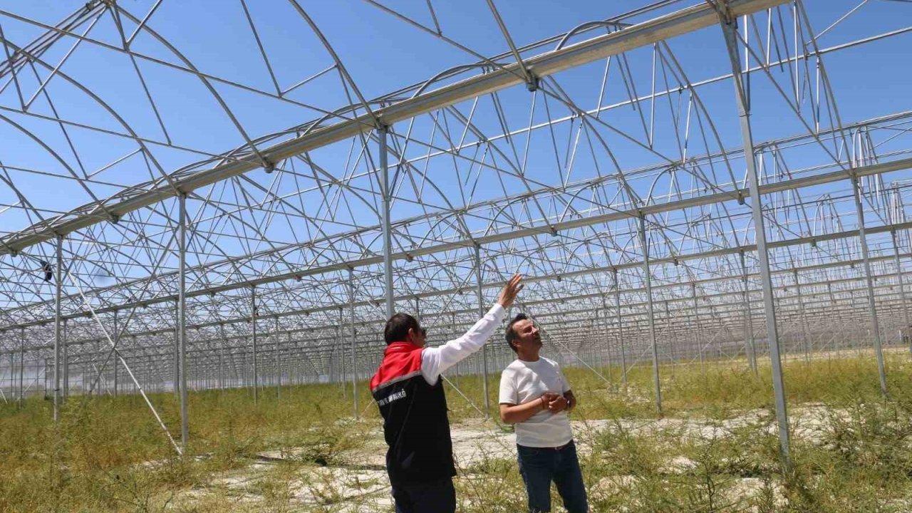 Erzincan, Jeotermal Sera Yatırımlarıyla Bölgenin Lideri Olmaya Aday