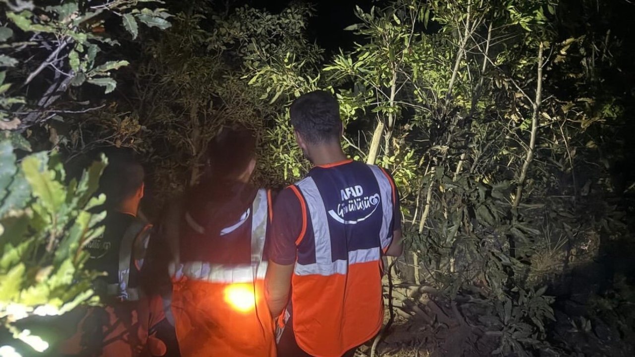 Şemdinli&#039;de Orman Yangını Gönüllülerin Desteğiyle Söndürüldü