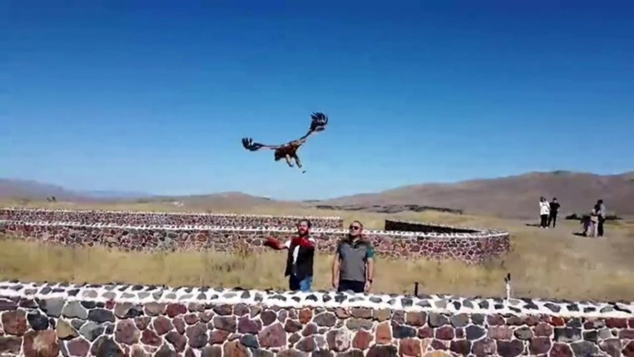 Sağlığına Kavuşan Kızıl Şahin Doğaya Geri Bırakıldı