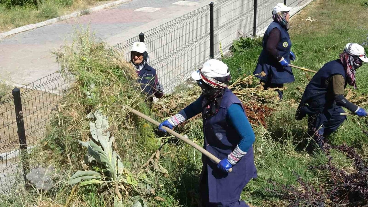 Tavşanlı&#039;da Kavurucu Sıcakta Ekmek Mücadelesi Veren Kadın İşçilere Takdir
