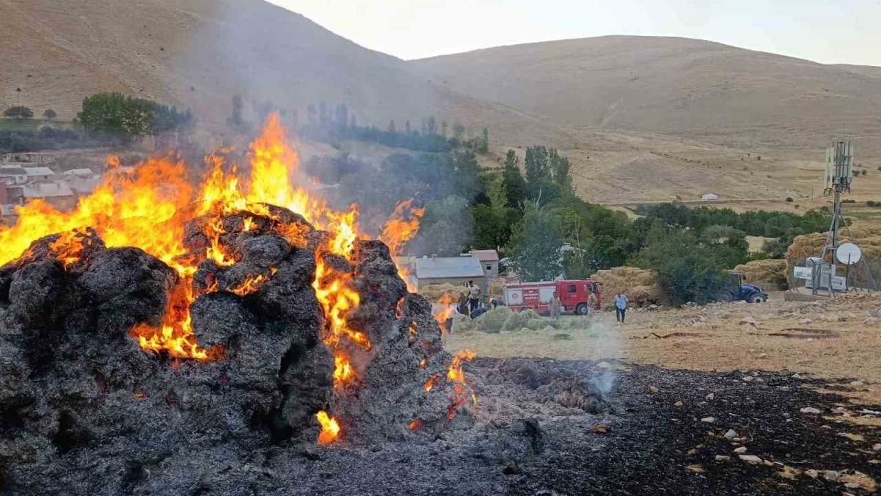 Gevaş&#039;ta Ot Yangını Paniğe Neden Oldu