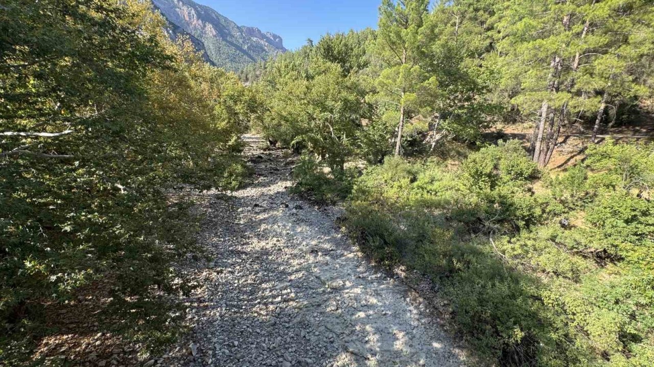 Manavgat&#039;ı Besleyen Üzümdere Irmağı Kurudu: Canlı Yaşamı Tehlikede