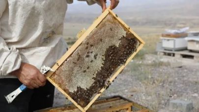 Iğdır’da Arıcılara %50 Hibeli Ekipman Desteği