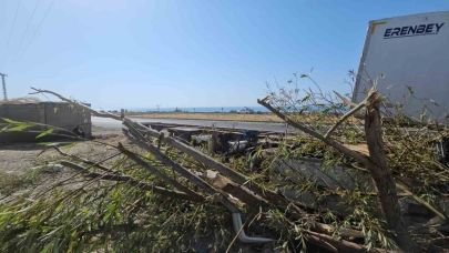 Bitlis Adilcevaz’da Meyve Suyu Yüklü Tır Devrildi: 1 Yaralı