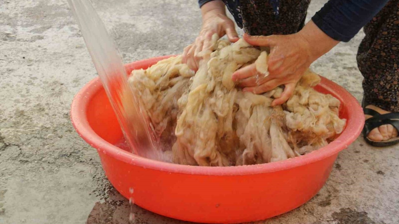 Sivas&#039;ta Kış Hazırlıkları: Yün Yorganlar Geleneksel Yöntemlerle Temizleniyor