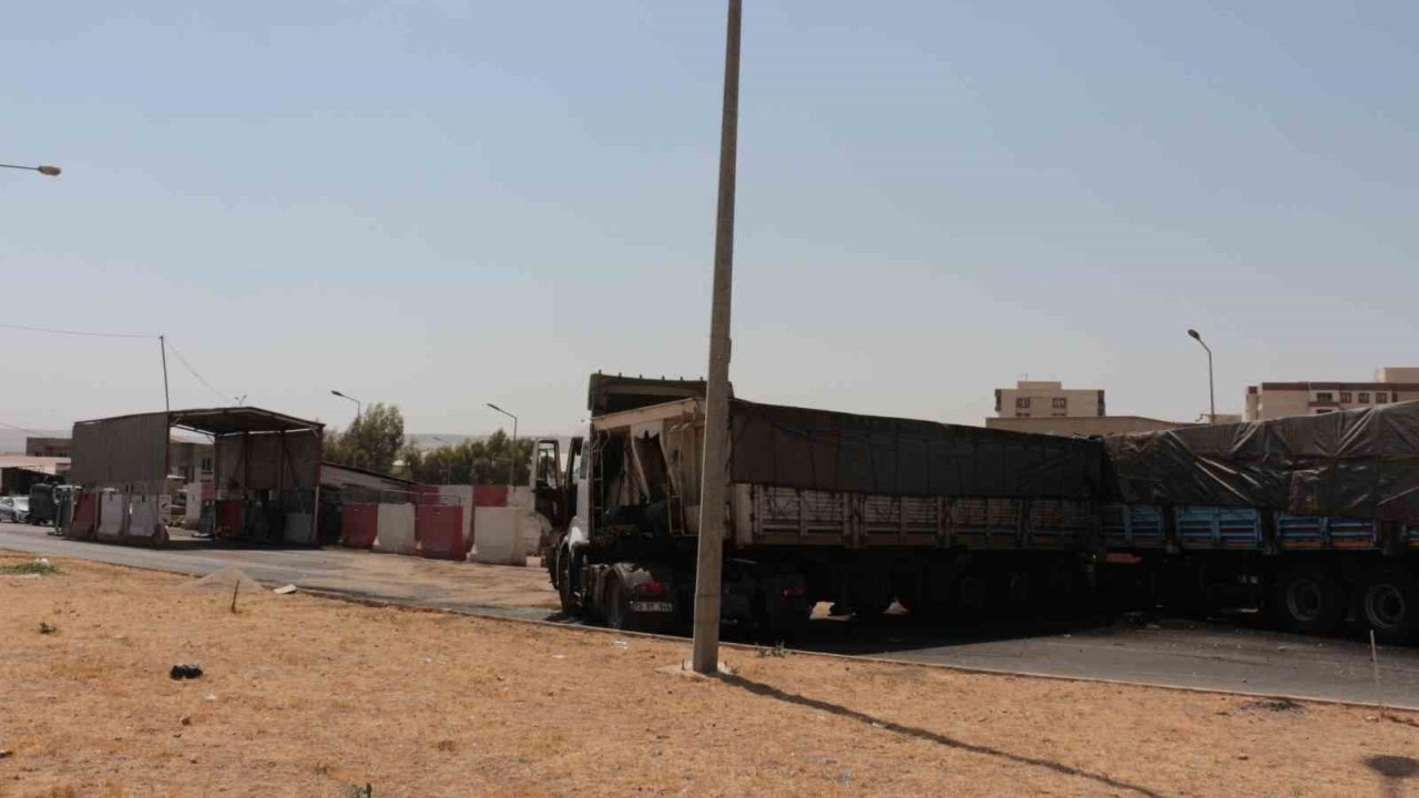 Cizre’de İki Kardeşin Kullandığı Tır Birbiriyle Çarpıştı : Ağabey hayatını kaybetti, kardeşi yaralandı