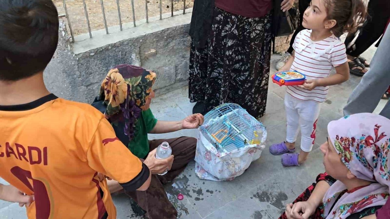Bulaşık Makinesinden Çıkan Yangında Muhabbet Kuşu Kahraman Yaşlı Kadın Tarafından Kurtarıldı