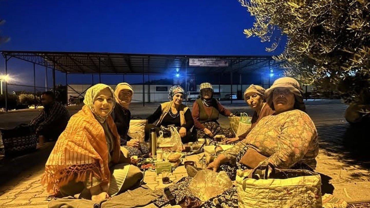 Vekil Sema Silkin Ün, Üreticiyle Hasat Yaptı: &quot;Kaliteli Üzümü Meyve Suyuna Vermek Haksızlık&quot;