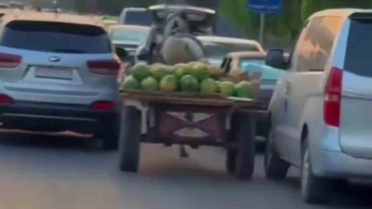 Şam'da Sahipsiz At Arabası Trafiği Birbirine Kattı