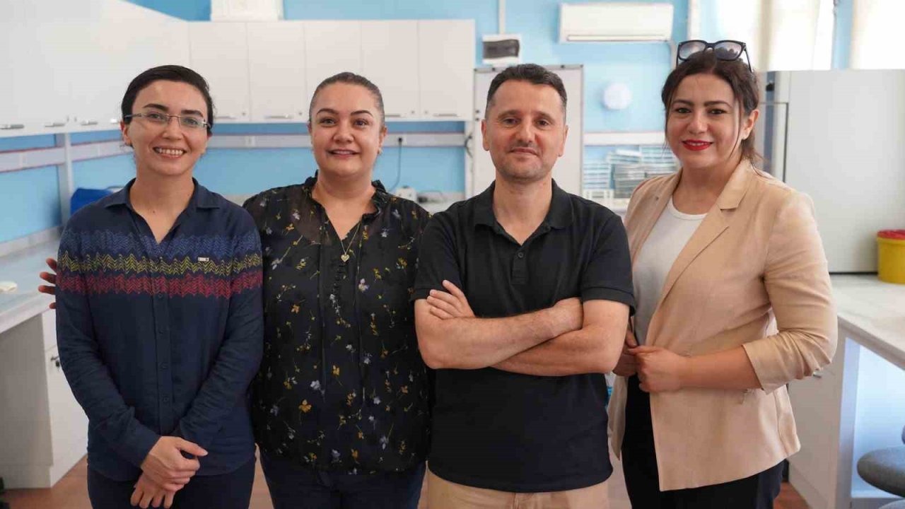 Diyabetik Böbrek Hasarına Karşı Umut Veren Proje