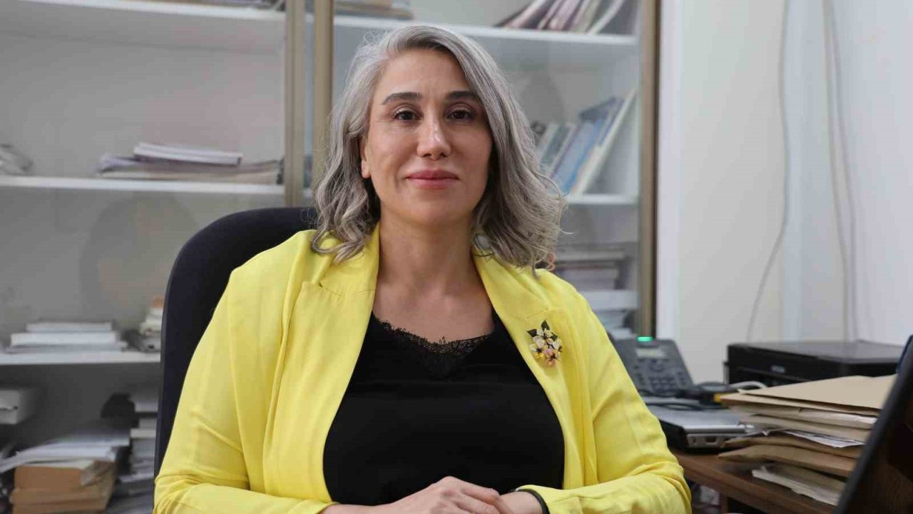 Yerli Sodyum İyon Batarya Projesi Devam Ediyor