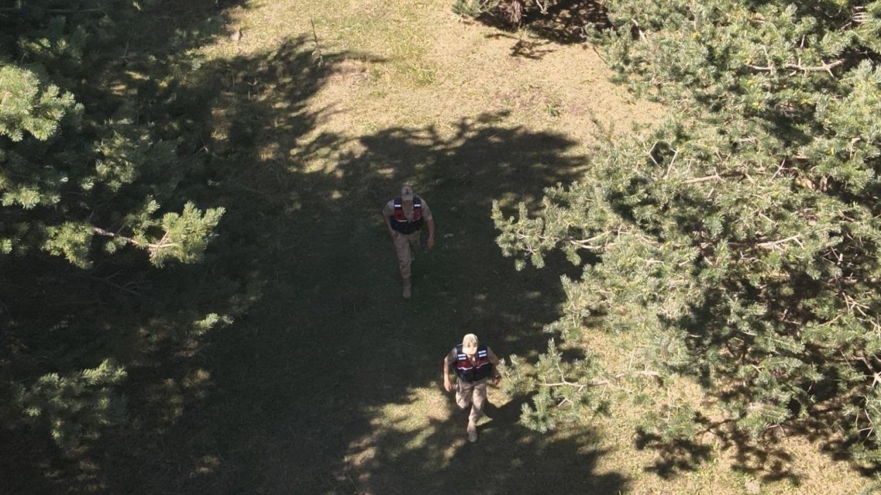 Ardahan&#039;da Jandarma Orman Yangınına Karşı Teyakkuzda