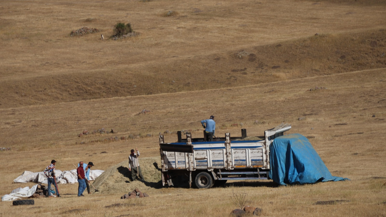 Iğdır’da Besiciler Kış Hazırlıklarına Başladı