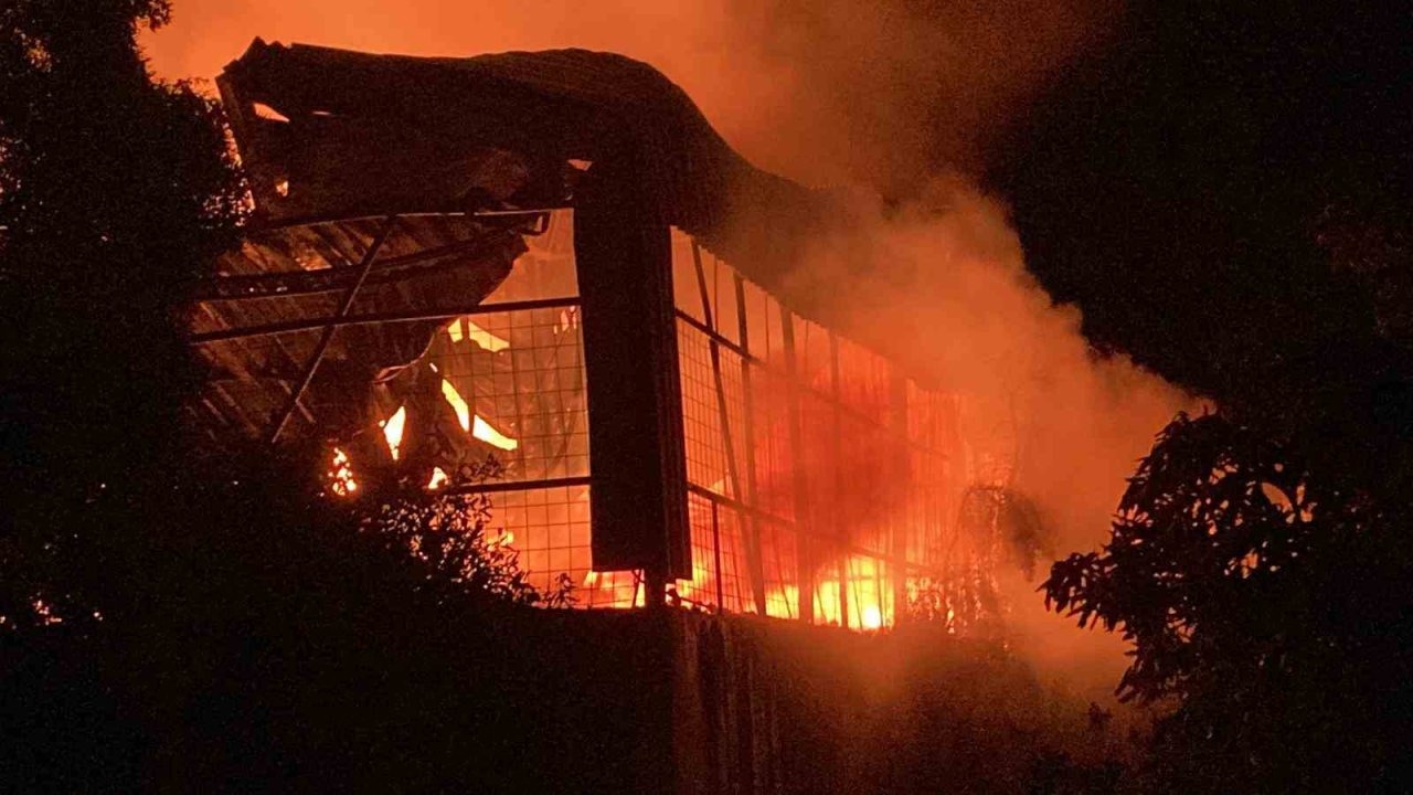 Düğün Günü Acı Haber: Ev ve Limon Deposu Yandı