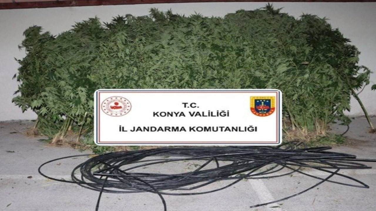 Jandarmadan uyuşturucu ve silah operasyonu