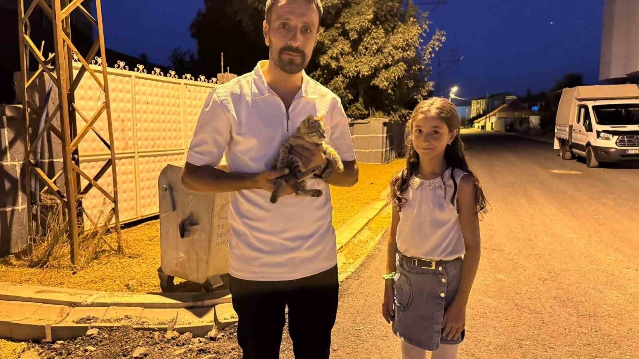 Minik Kahraman Narin, Yaralı Kediyi Kurtardı