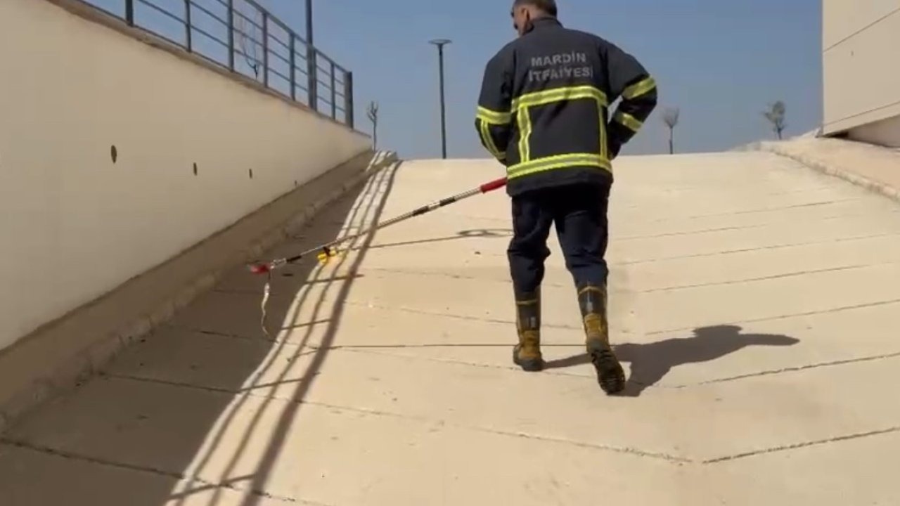 Nusaybin Diş Hastanesi&#039;nde Yılan Paniği: İtfaiye Ekipleri Harekete Geçti