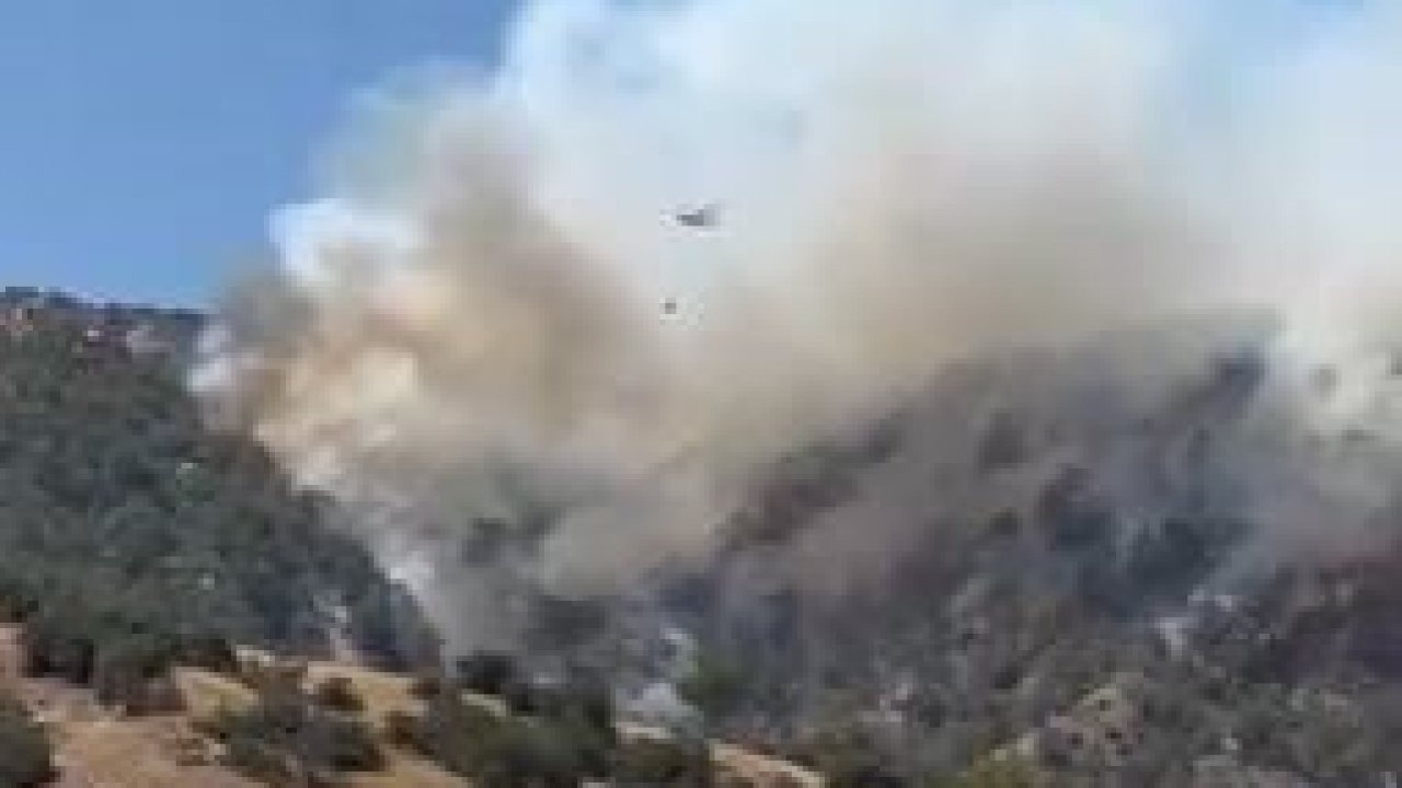 Denizli'de Orman Yangını: Dozer Operatörü Yaralandı