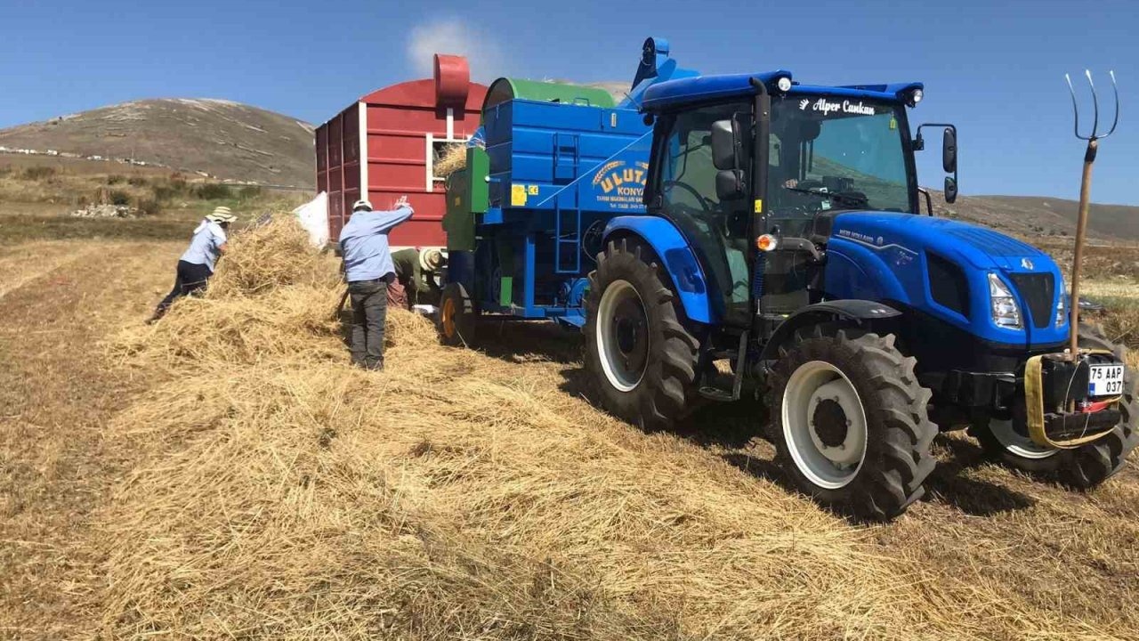 Damal'da Patoz Mesaisi Başladı: Çiftçiler Kışa Hazırlanıyor