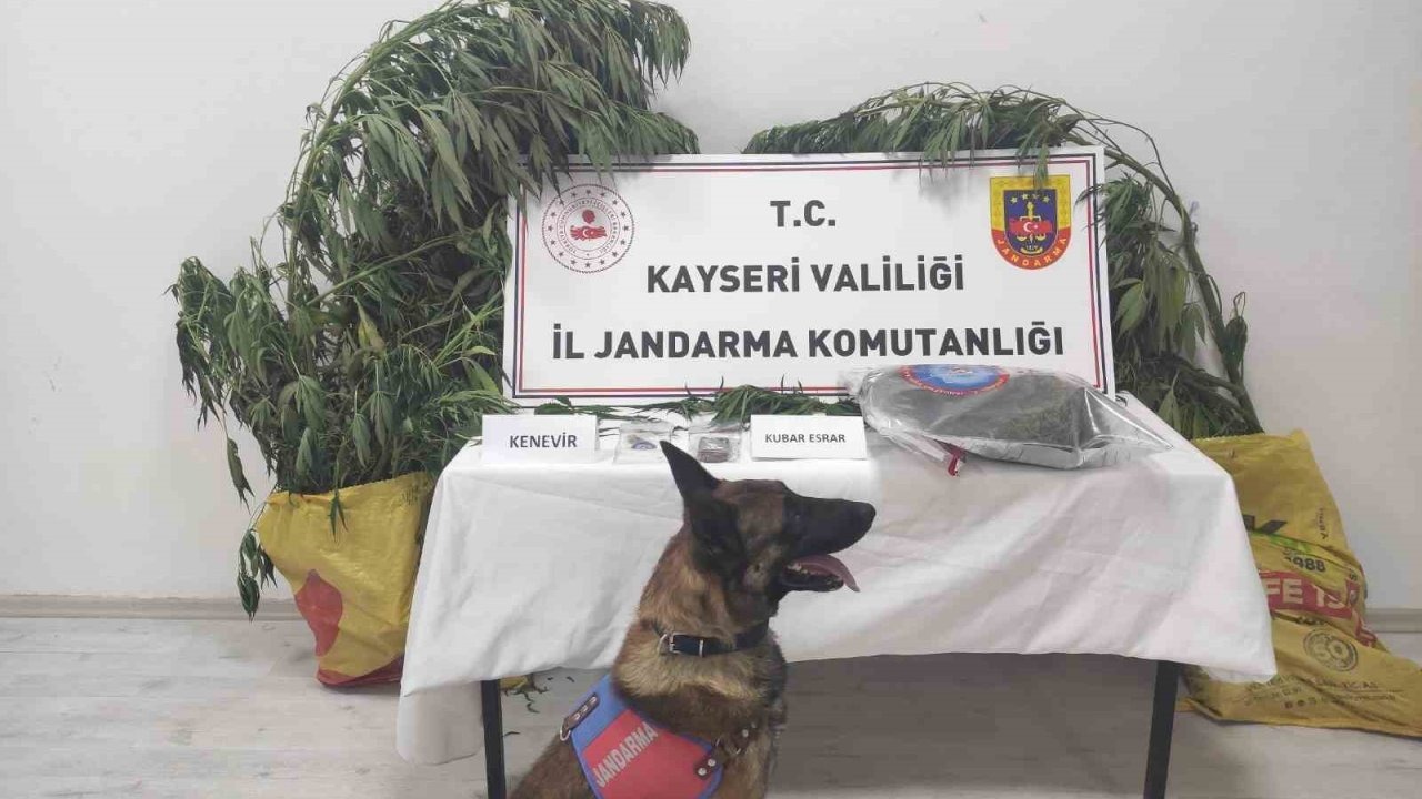 Kayseri&#039;de Uyuşturucu Operasyonu