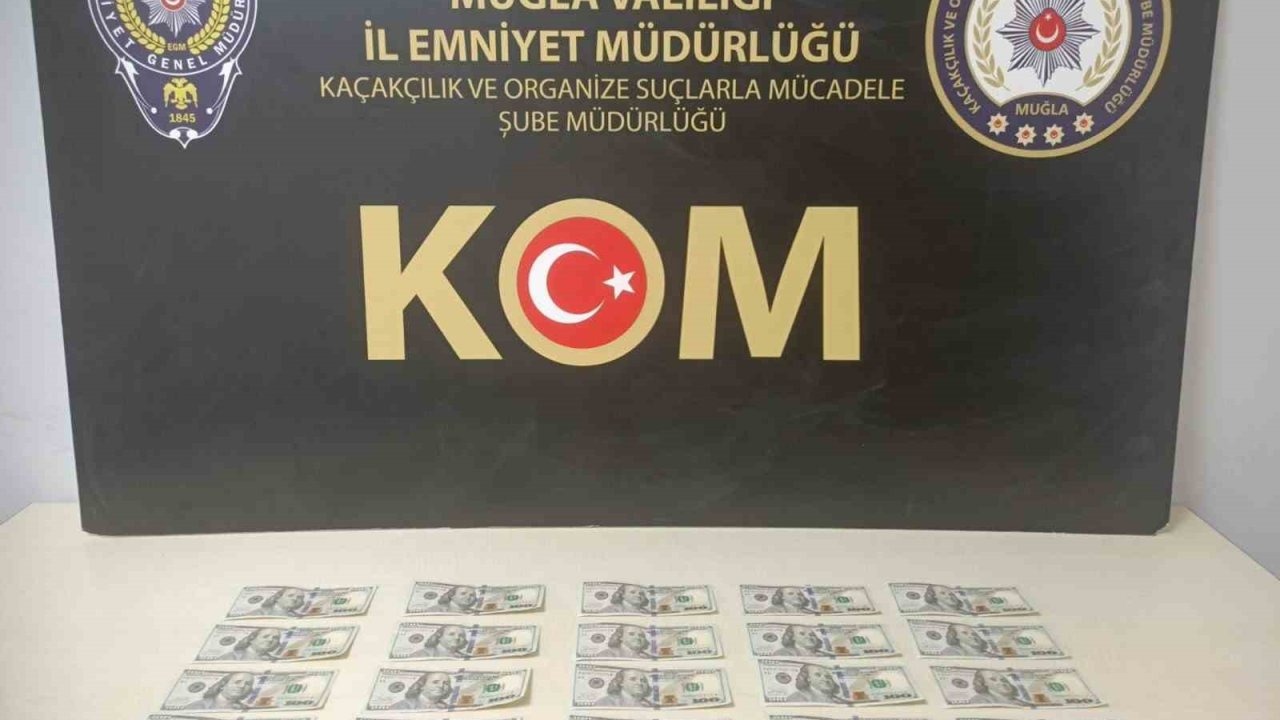 Muğla&#039;da Sahte Dolar Operasyonu
