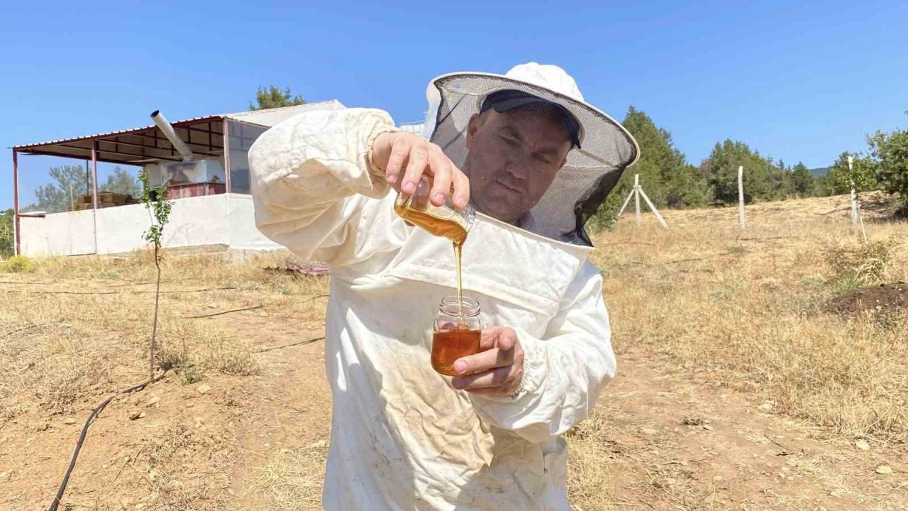 Eskişehir&#039;de Üretilen Bal, Dünya Rekoru Kırmaya Hazırlanıyor