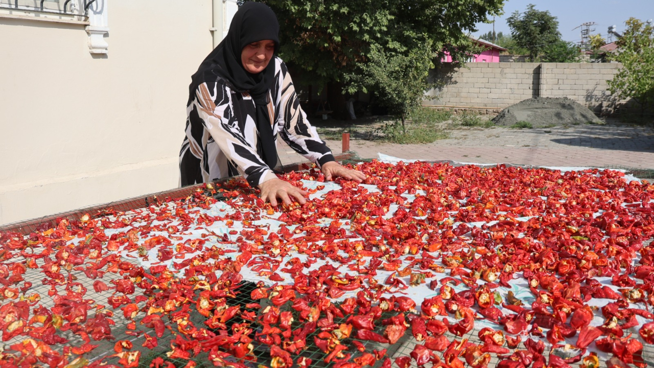 Iğdır’da Kadınların Kış Hazırlığı Sürüyor: Geleneksel Kurutma Kültürü Yaşatılıyor
