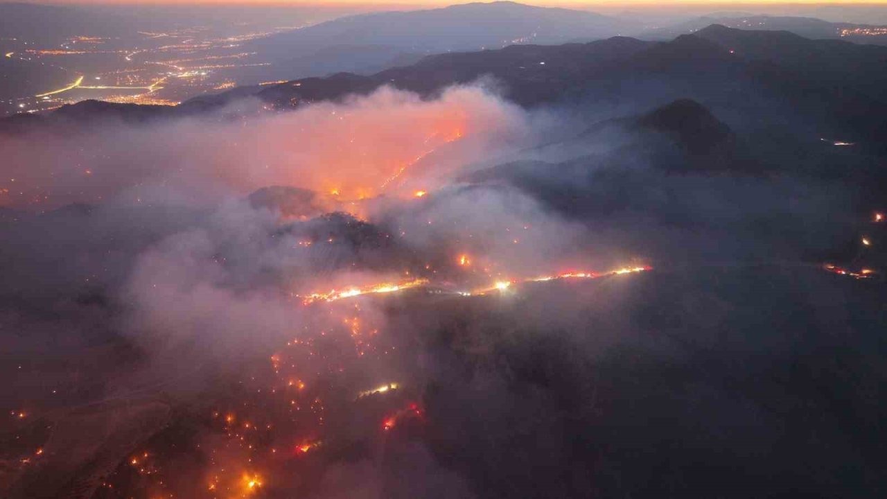 Buldan’daki Orman Yangını Aydın'a Sıçradı, Ekiplerin Mücadelesi Devam Ediyor