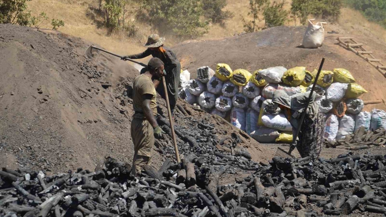 Muş’ta Zorlu Mangal Kömürü Mesaisi: &quot;Emeğimizin Karşılığını Alamıyoruz&quot;