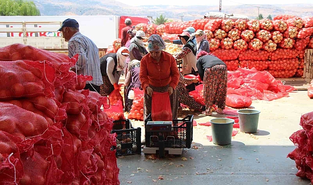 Amasya Soğanı Avrupa Sofralarında