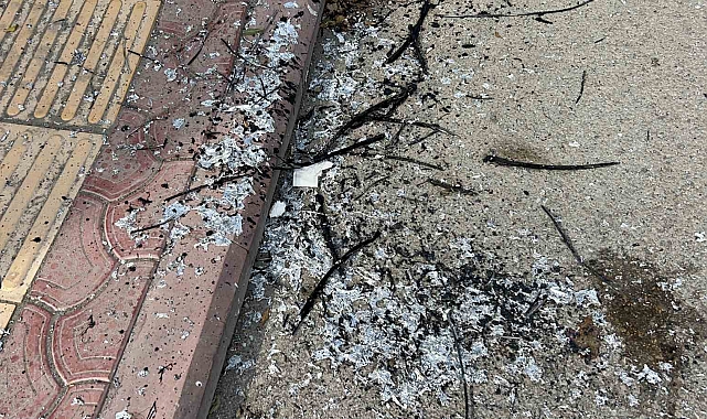 Aşırı Sıcaklar Nedeniyle Elektrik Telleri Patladı