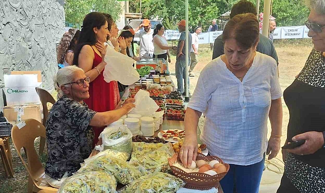 Erzincan&#039;da 2. Çilek ve Böğürtlen Festivali Coşkuyla Kutlandı