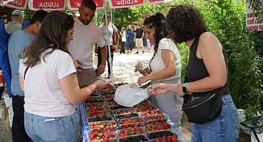 Erzincan'ın Organik Çilek ve Böğürtlenleri Sıcaklarda Sağlık ve Lezzet Sunuyor