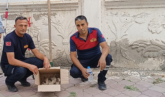Iğdır&#039;da Kahraman İtfaiye Ekipleri Merdiven Boşluğuna Düşen Yavru Kedileri Kurtardı