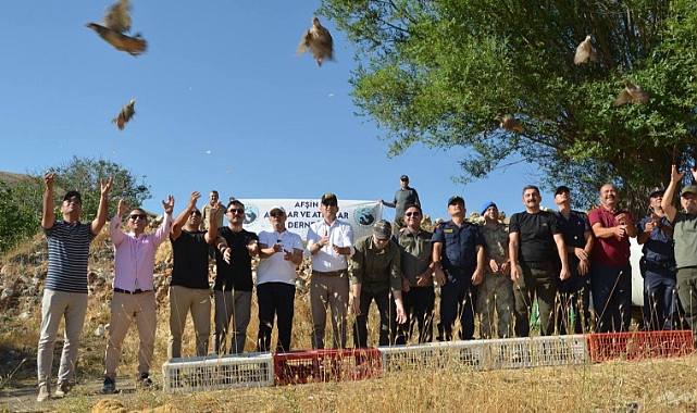 Iğdır Üniversitesi’nden Kınalı Kekliklerin Korunmasına Yönelik Örnek Proje