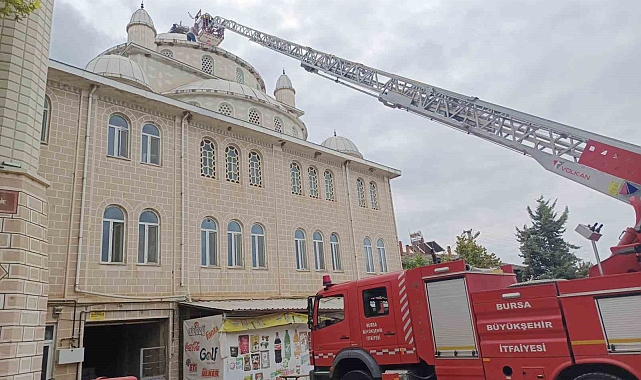 İznik&#039;te Leylek Kurtarma Operasyonu: Üçüncü Denemede Başarılı Oldular