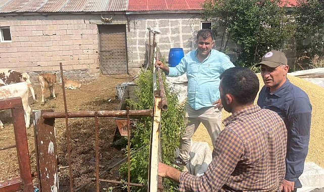 Kars&#039;ta Şap Hastalığıyla Mücadele Hız Kesmiyor