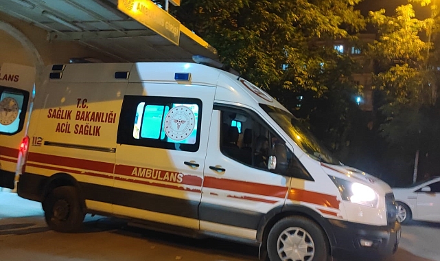 Mardin&#039;de Akraba Kavgası: 2 Kişi Silahla Öldürüldü