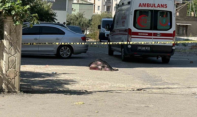 Osmaniye&#039;de Balkondan Düşen Kadın Hayatını Kaybetti