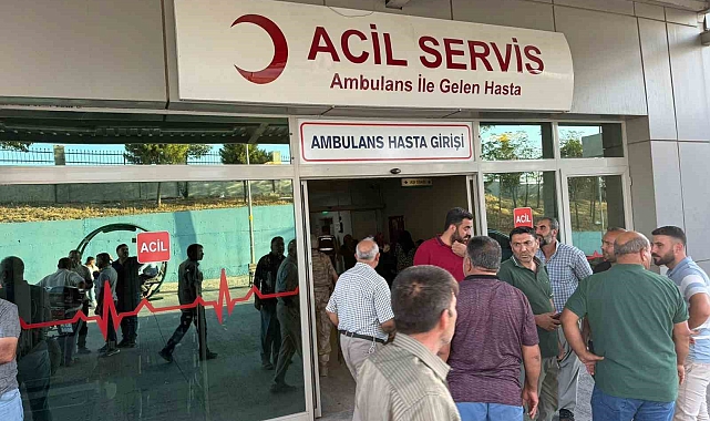 Şanlıurfa Birecik&#039;te Arazi Kavgası: Amca ve Yeğeni Hayatını Kaybetti