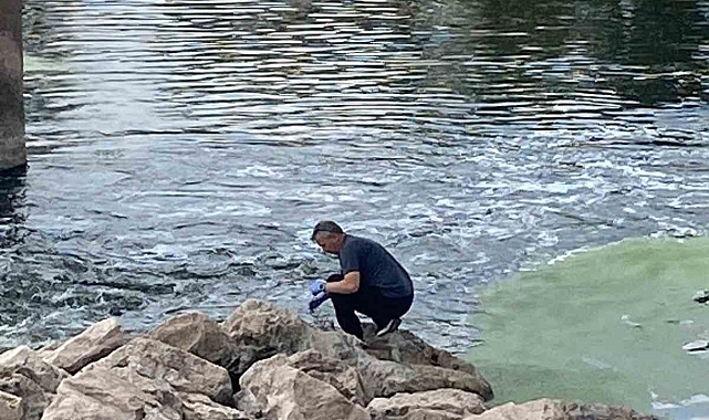 Sivas&#039;taki Balık Ölümlerinin Nedeni Açıklandı