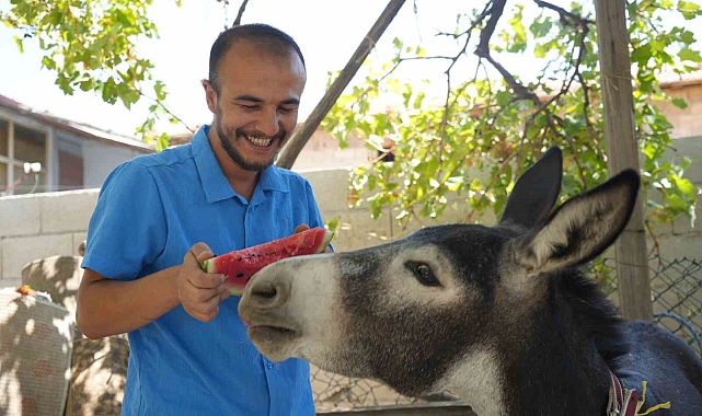 Sosyal Medyada Gördü, Mardin&#039;den Gaziantep&#039;e Getirdi: &quot;Şanslı&quot; Artık Yeni Yuvasında